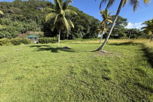 OPOA MAGNIFIQUE PARCELLE AVEC UN ACCES MER