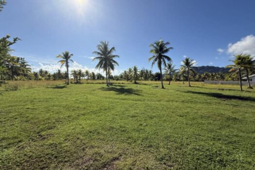 OPOA MAGNIFIQUE PARCELLE AVEC UN ACCES MER