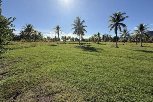 OPOA MAGNIFIQUE PARCELLE AVEC UN ACCES MER