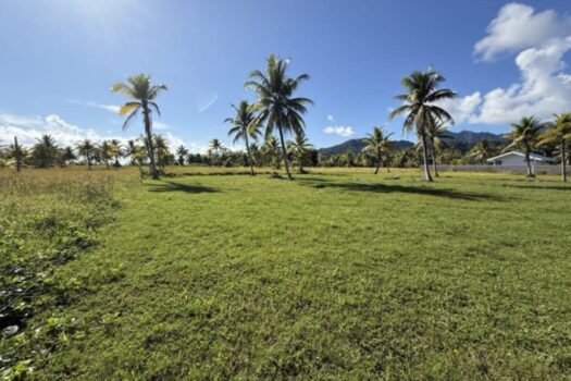 OPOA MAGNIFIQUE PARCELLE AVEC UN ACCES MER