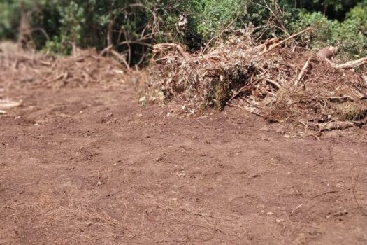 BEAU TERRAIN À VENDRE À MOOREA!