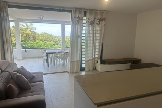 SAINT HILAIRE F5 AVEC VUE MOOREA ET PISCINE