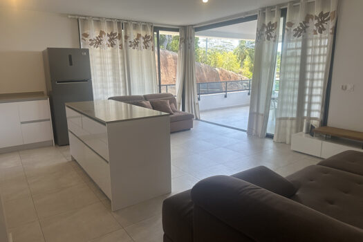 SAINT HILAIRE F5 AVEC VUE MOOREA ET PISCINE