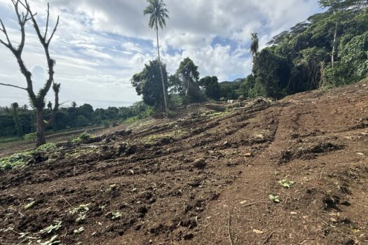 TEVAITOA BELLE PARCELLE AVEC VUE IMPRENABLE SUR LE LAGON
