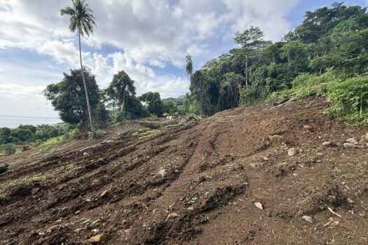 TEVAITOA BELLE PARCELLE AVEC VUE IMPRENABLE SUR LE LAGON