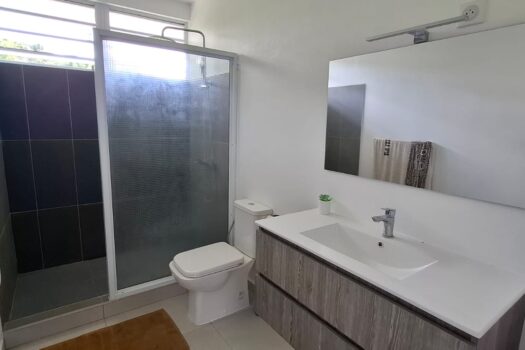 MAISON NEUVE 2 CHAMBRES SUR TOAHOTU