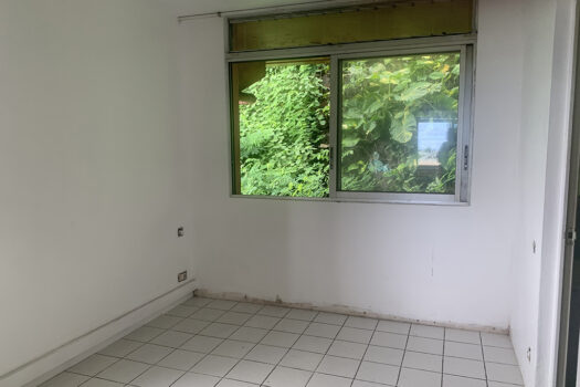 PUNAAUIA F2 A VENDRE