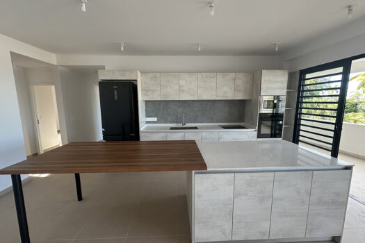 PUNAAUIA NEUF SUPERBE F5 AVEC VUE