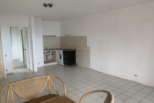 PUNAAUIA F2 A VENDRE