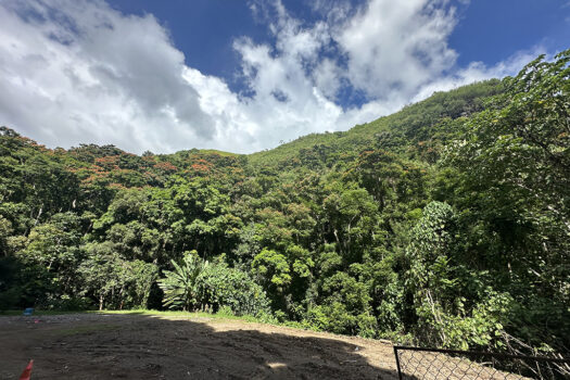 PUNAAUIA TERRAIN A VENDRE
