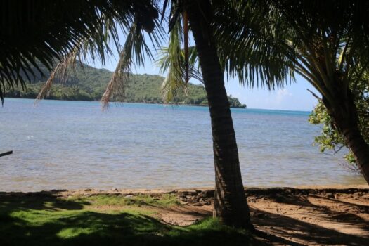 CHARMANTE PROPRIÉTÉ À VENDRE À MOOREA EN EXCLU!