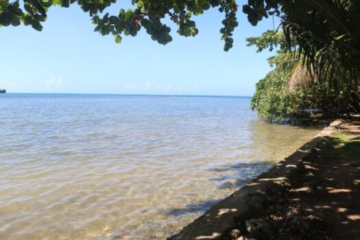 CHARMANTE PROPRIÉTÉ À VENDRE À MOOREA EN EXCLU!