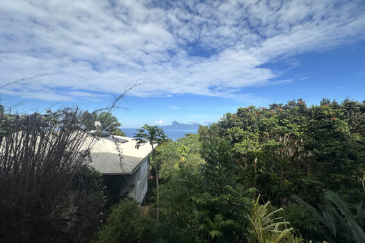 PUNAAUIA NEUF SUPERBE F5 AVEC VUE