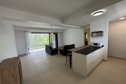 PAPEETE EXCLU SUPERBE F3 NEUF AVEC PISCINE