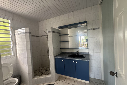 PUNAAUIA BAS DE MAISON F5 AVEC VUE ET PISCINE