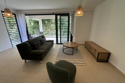 PAPEETE F3 DE STANDING AVEC PISCINE