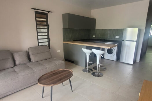 PAPARA MAISON NEUVE F2 AVEC ACCES MER