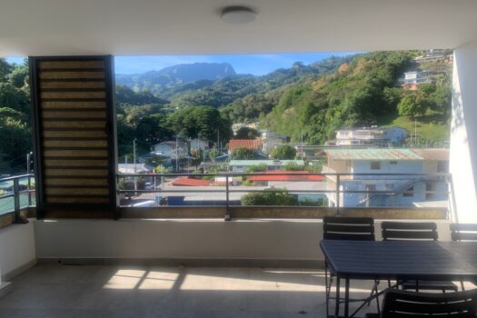 PAPEETE BEL APPT F2 MEUBLÉ ET ÉQUIPÉ CLOS DE ST AMÉLIE
