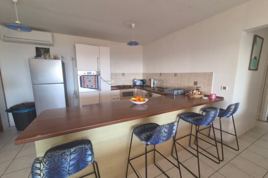 PUNAAUIA – APPARTEMENT A SAISIR DE TYPE F3 AVEC VUE