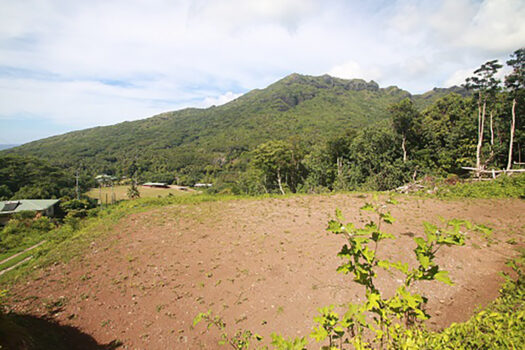 BEAU TERRAIN À VENDRE À MOOREA.